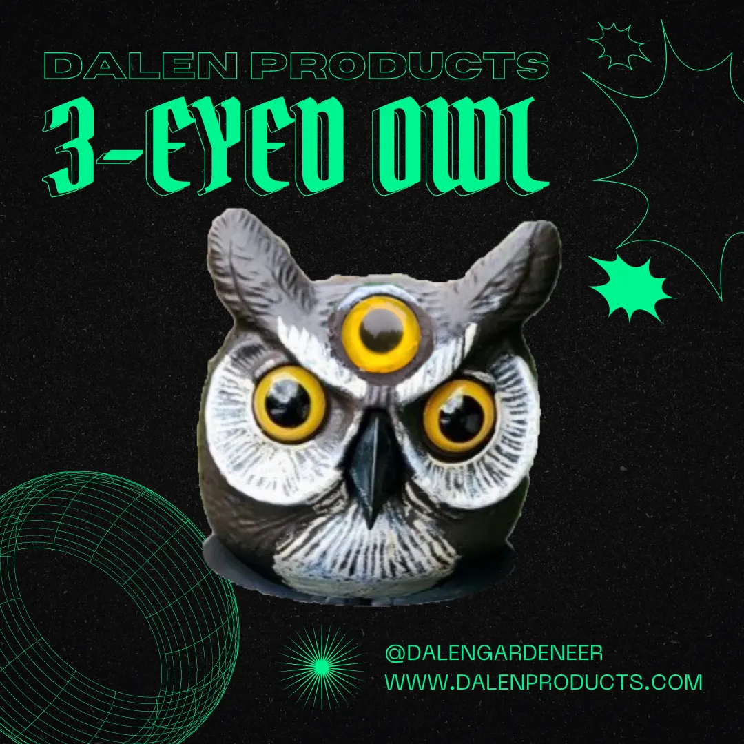 3-EYED OWL ™