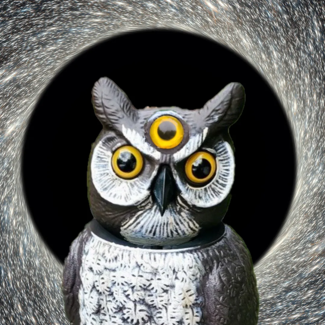 3-EYED OWL ™