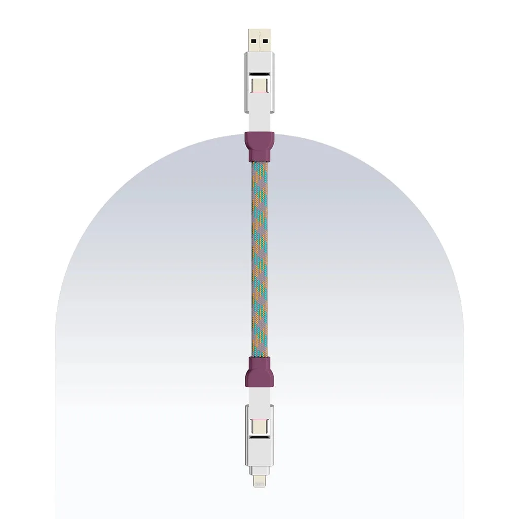 4 in 1 65W Payal Singhal Edition Cable 4 Ft