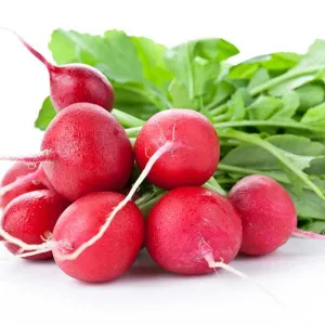 Crimson Giant Radish Vegetable Seed